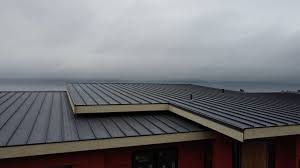 Professional Roofing Contractor in Ladysmith, WI